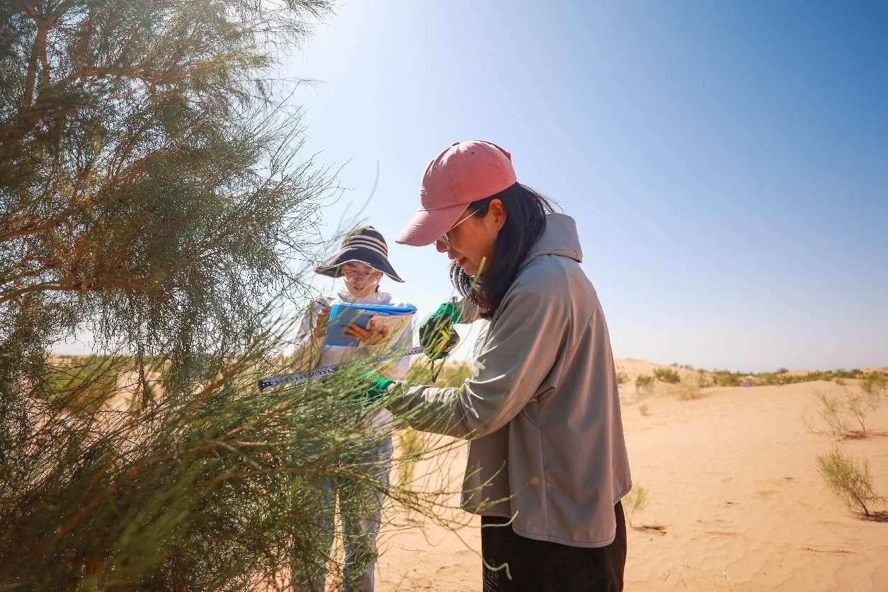 Progress made in desertification control along Yellow River