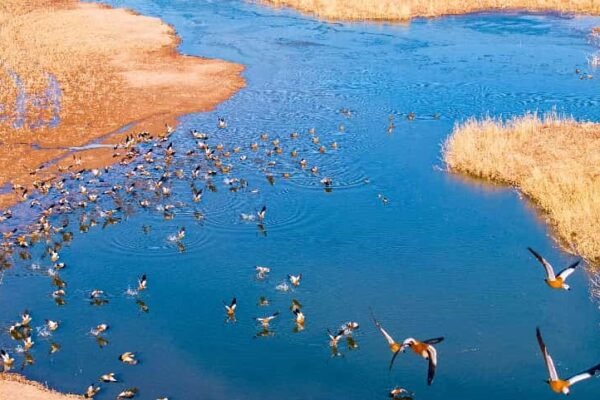 China's green transformation: a global asset