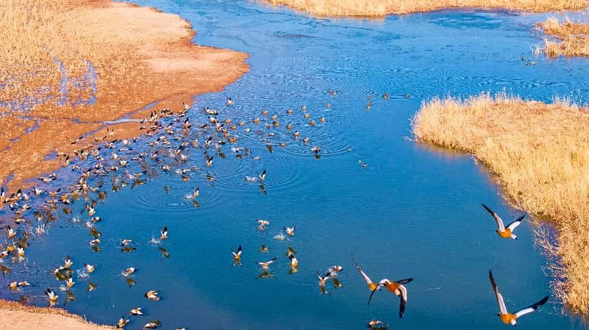 China's green transformation: a global asset