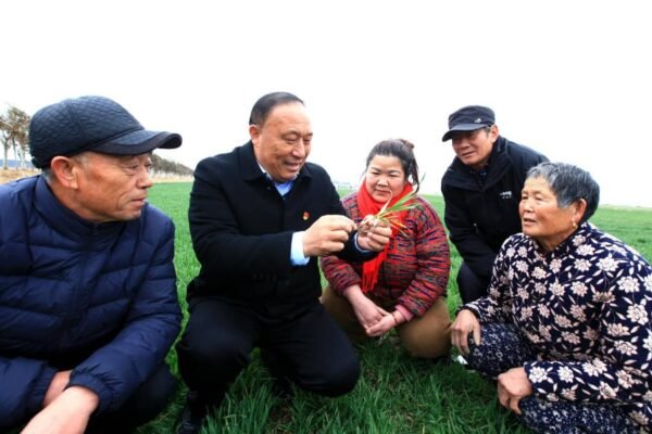 Understanding China's whole-process people's democracy