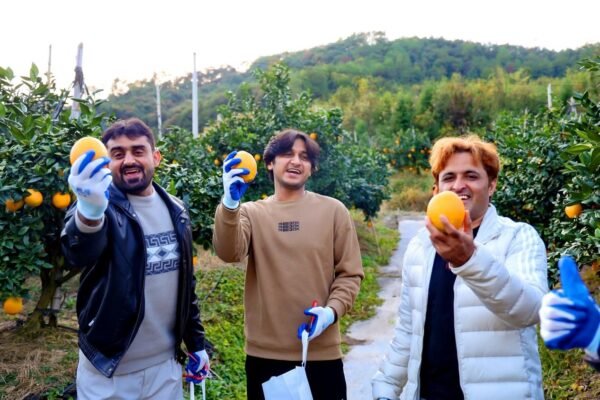 Understanding China requires both historical and developmental perspectives