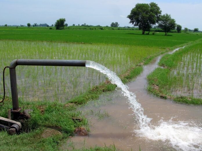 KP plans irrigation project for 10,930 acres of agricultural land