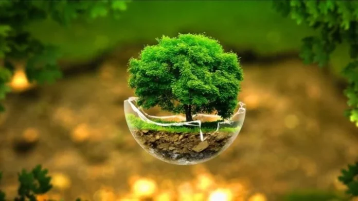 Pakistan boosts environmental protection through 165 village conservation committees