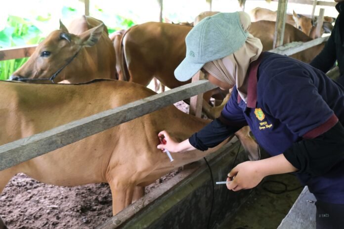 China-backed vaccine support enhances livestock disease prevention in Pakistan