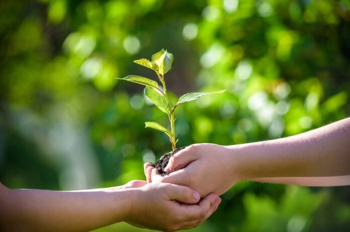 New $10m plan focuses on youth training and 1,000 climate projects