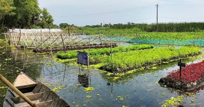 Sindh proposes innovative floating farms to benefit 100 villages